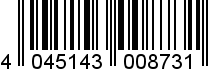 4045143008731