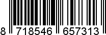8718546657313